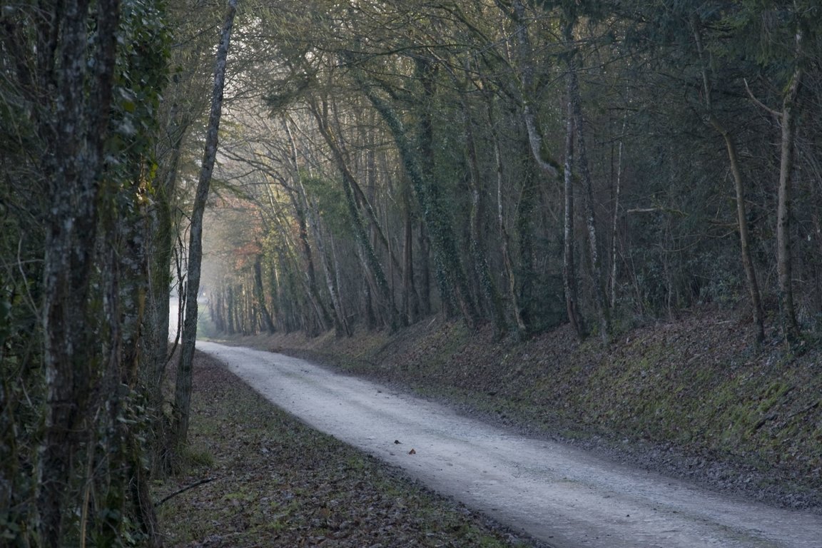 L'allée du Domaine du Nozay à Sancerre