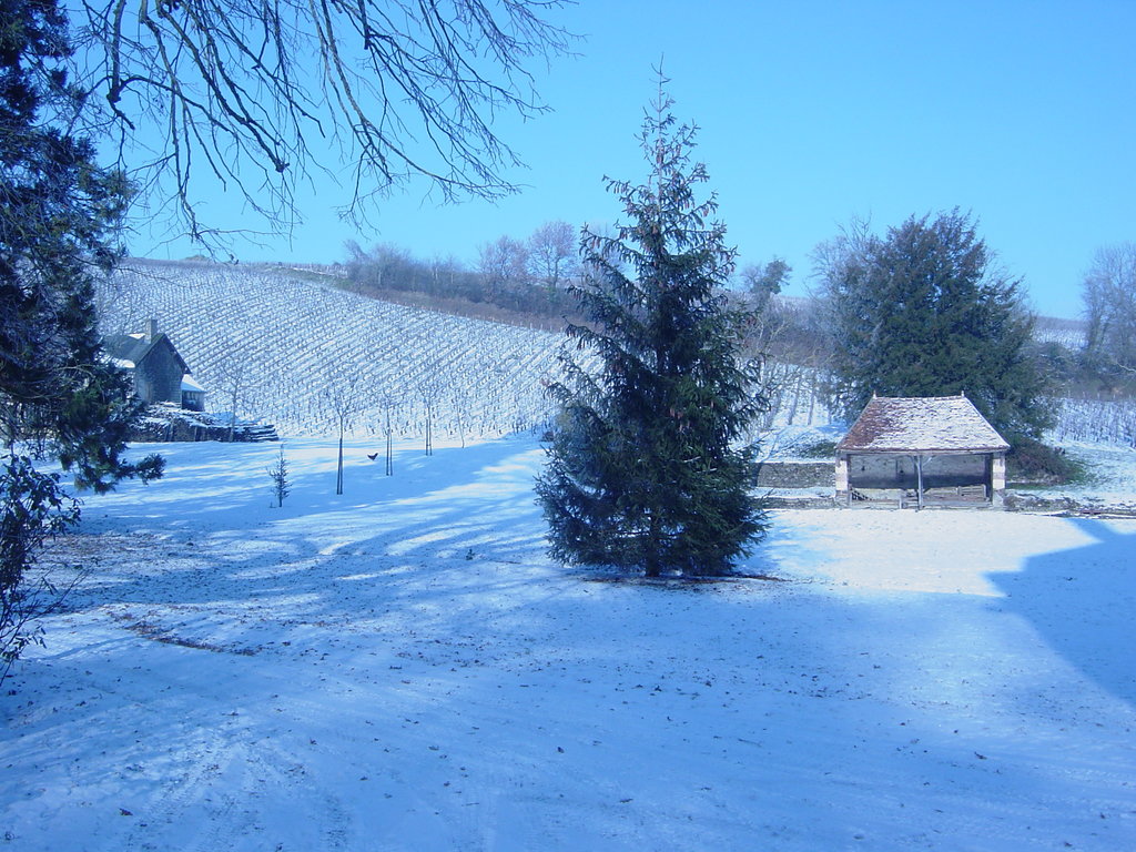 Le Domaine du Nozay sous la neige