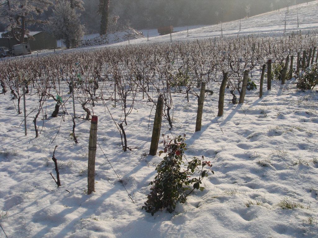 Le Domaine du Nozay à Sancerre sous la neige