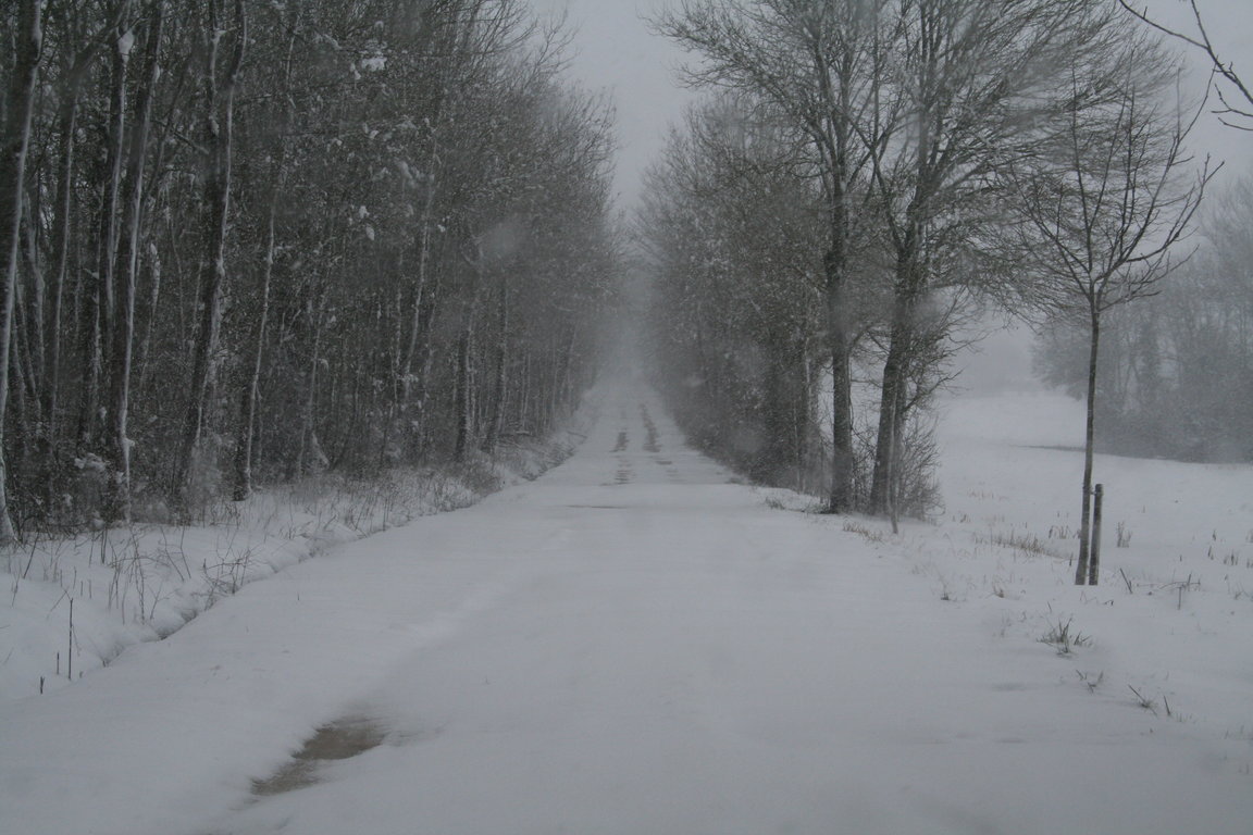 l'allée du Domaine du Nozay à Sancerre